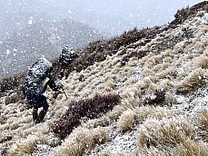 Tramping in the Kawekas