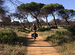 click to see gallery

Helen
2020-09-01&nbsp;Photo:&nbsp;'2019 May 07 09:06'
Original size:&nbsp;2,443 x 1,809; 1,377 kB
Filename:&nbsp;'2020-09-01 Helen'