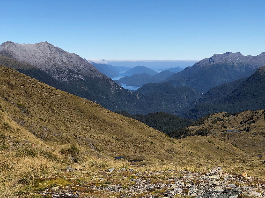 click on the photo to download the original image

2020-11-24 lynnew