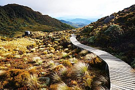 The newest Great Walk, The Hump Ridge Track  ''Jonty Crane''