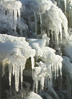 Photo Comp Nature big
Original size:&nbsp;446 x 613; 56 kB
Filename:&nbsp;'PhotoCompNature_big'