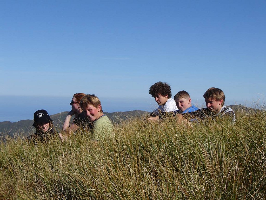 click on the photo to download the original image

holdsworth jumbo 026