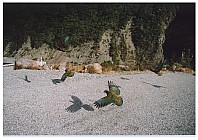 click to see gallery

Keas In Flight
Original size:&nbsp;1,754 x 1,240; 779 kB
Filename:&nbsp;'keas in flight'