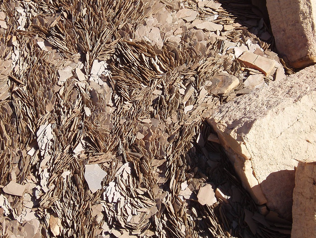 click on the photo to download the original image

shale at kiwetinok pass canadian rockies