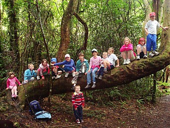 Children tree.jpg: 1024x768, 213k (2014 Jul 21 06:38)