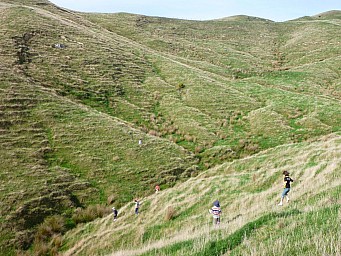 P1000942.jpg: 1024x768, 220k (2014 Jul 21 06:45)