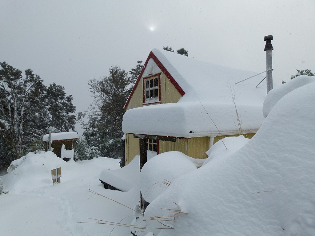 click on the photo to download the original image

Field_in_Snow
