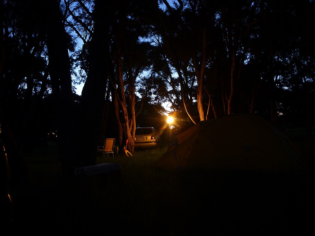 click on the photo to download the original image

2011-11-25 20.08.30 P1020975 Simon Morison Bush at night