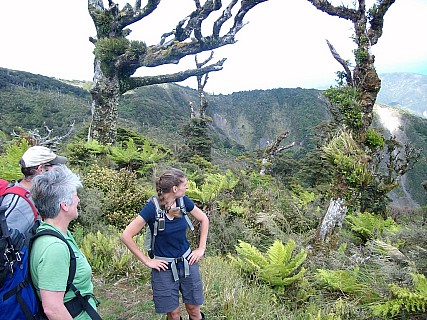 On top
Photo:&nbsp;'2012 Jan 14 12:02'
Original size:&nbsp;1,024 x 768; 319 kB
Filename:&nbsp;'On_top'