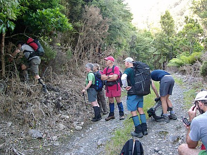 Starting the climb
Photo:&nbsp;'2012 Jan 14 09:48'
Original size:&nbsp;1,024 x 768; 335 kB
Filename:&nbsp;'Starting_the_climb'