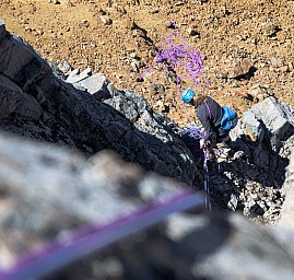 _IGP0340.jpg: 1024x973, 733k (2014 Jul 21 06:59)