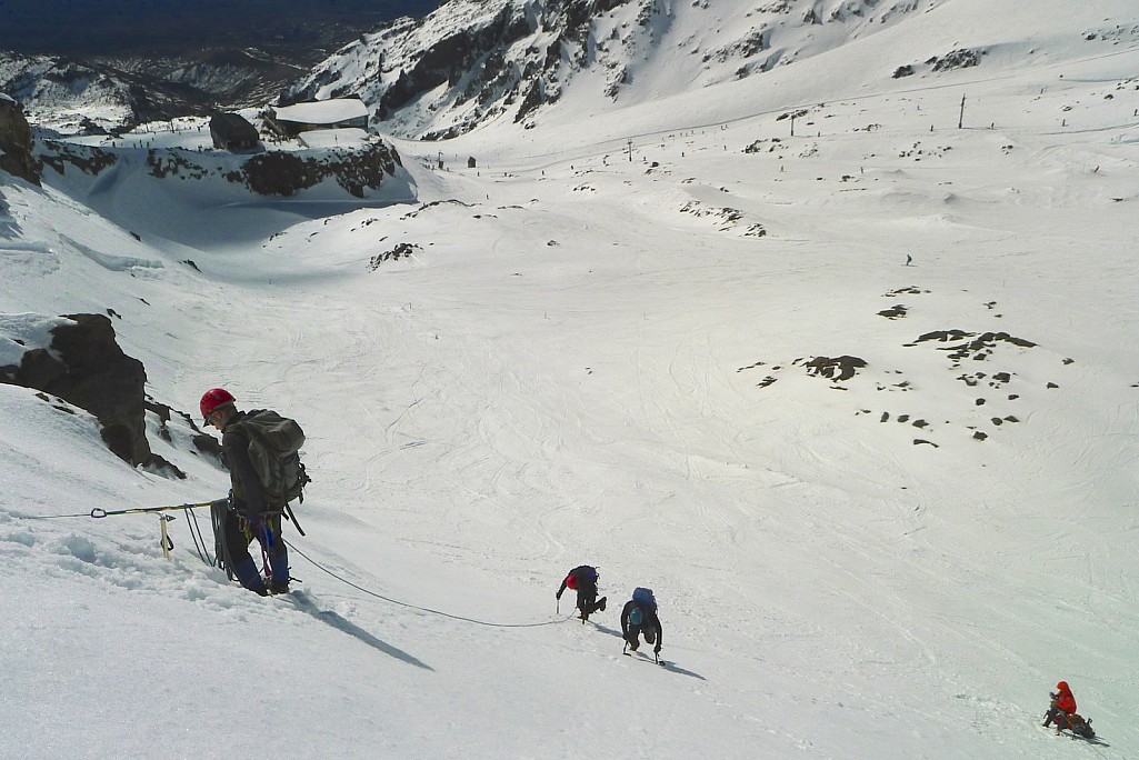 click on the photo to download the original image

P1010234