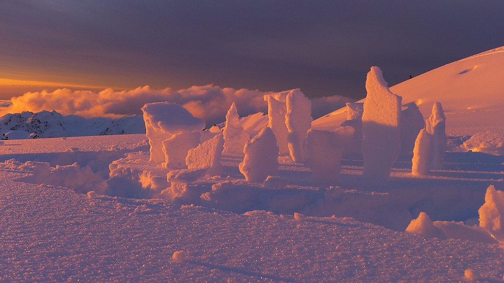 click on the photo to download the original image

P1010631