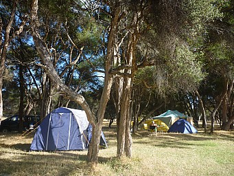 click to see gallery

Campsite
Photo:&nbsp;Simon
2015-03-07&nbsp;10.10.03&nbsp;Photo:&nbsp;'2015 Mar 07 10:10'
Original size:&nbsp;4,000 x 3,000; 7,181 kB
Filename:&nbsp;'2015-03-07 10.10.03 P1010804 Simon - Campsite'