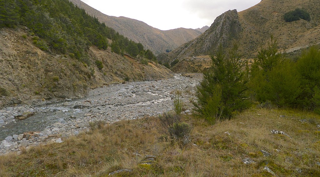 click on the photo to download the original image

P1020143