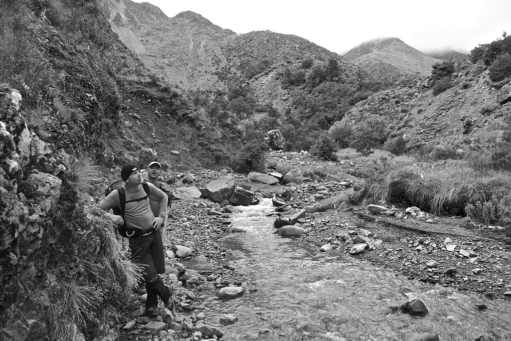 click on the photo to download the original image

P1020148