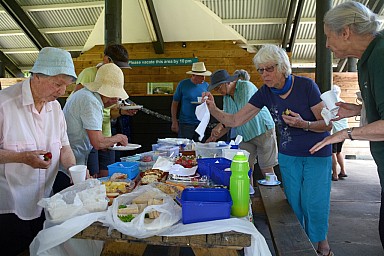 click to see gallery

TTC
2016-12-14&nbsp;11.33.29&nbsp;Photo:&nbsp;'2016 Dec 14 11:33'
Original size:&nbsp;1,024 x 683; 618 kB
Filename:&nbsp;'2016-12-14 11.33.29 DSC_7601 TTC'