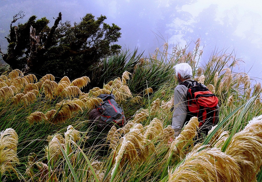 click on the photo to download the original image

BBL TararuaTC Ogilvie Remutaka mist