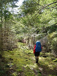 click to see gallery

Buy Deuter!
Photo:&nbsp;Peter Barber
Photo:&nbsp;'2017 Sep 10 09:36'
Original size:&nbsp;1,704 x 2,272; 3,179 kB
Filename:&nbsp;'BuyDeuter!-PeterBarber'