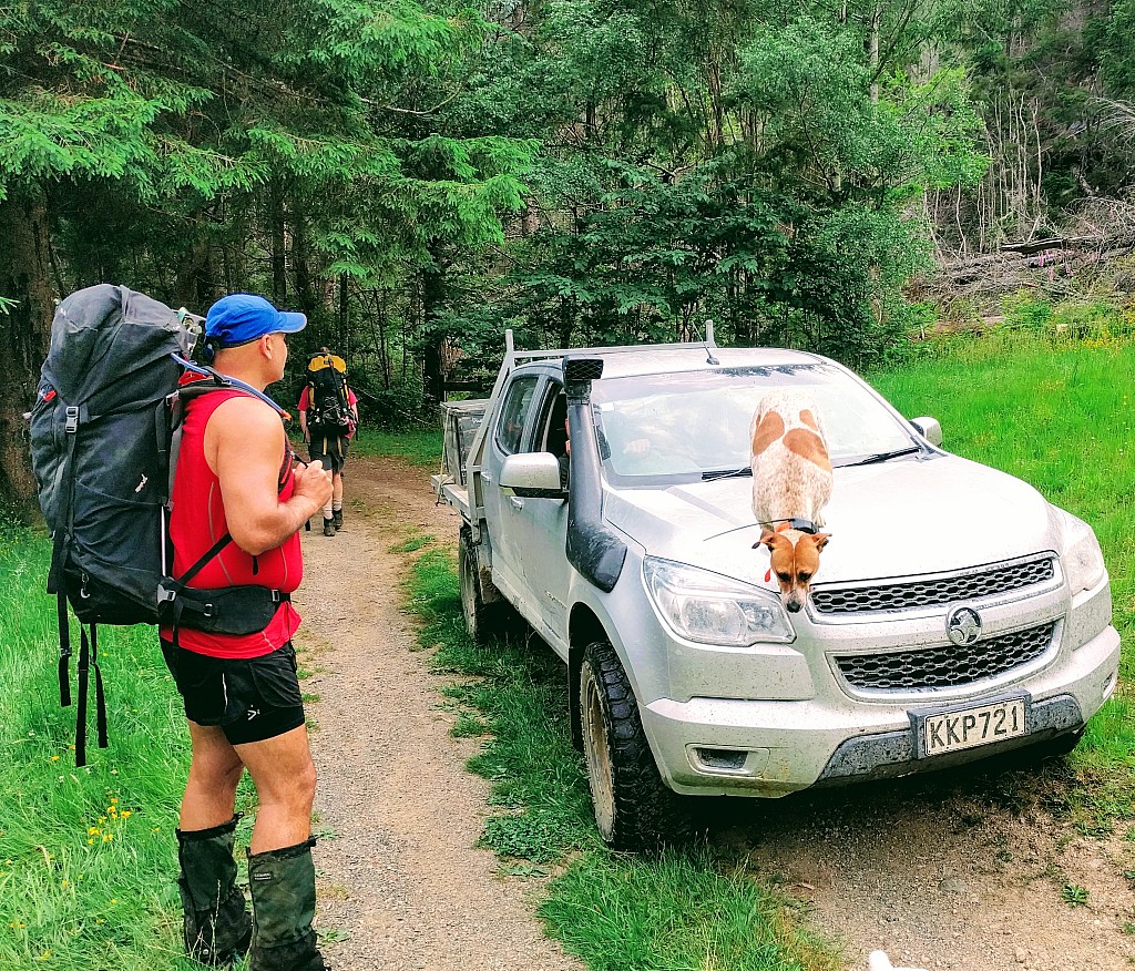 click on the photo to download the original image

IMG_20171218_071644