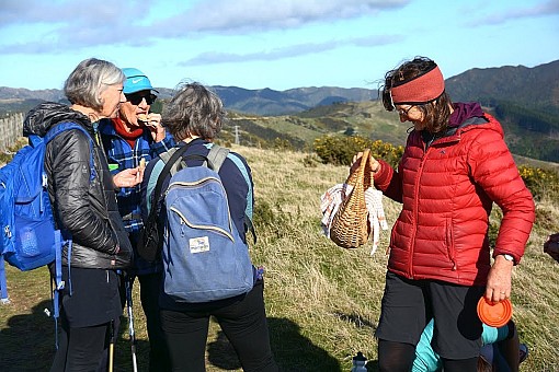 click on the photo and click again on the photo to download the original image

2019-06-30 11.29.28 DSC_2345