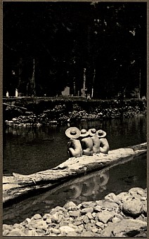 click on the photo and click again on the photo to download the original image

19qq ttc724 Skinny dipping