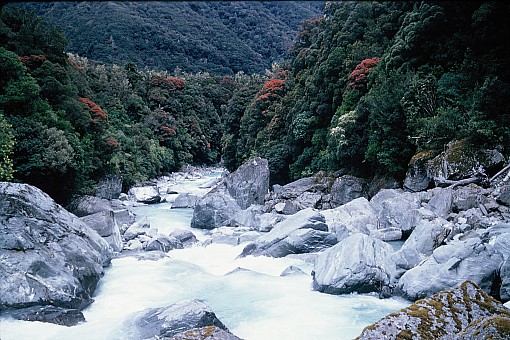 click on the photo and click again on the photo to download the original image

1960 HIS-TTC-Bill Wheeler-Before The Possums Came-61