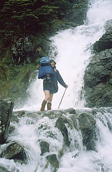 click on the photo and click again on the photo to download the original image

1995 Sabine IMG_0031