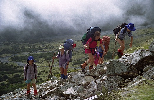 click on the photo and click again on the photo to download the original image

1996 Moss Pass-14 IMG_0030