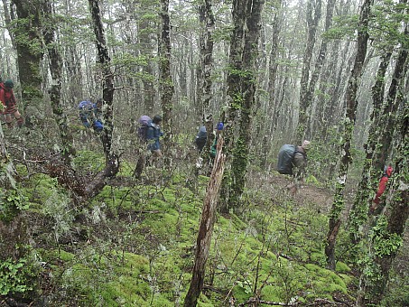 click on the photo and click again on the photo to download the original image

2010-01 CH 10 TTC Photo Alan Knowles