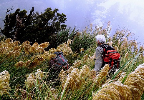 click on the photo and click again on the photo to download the original image

BBL TararuaTC Ogilvie Remutaka mist