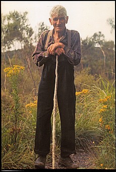 click on the photo and click again on the photo to download the original image

ttc101 portrait