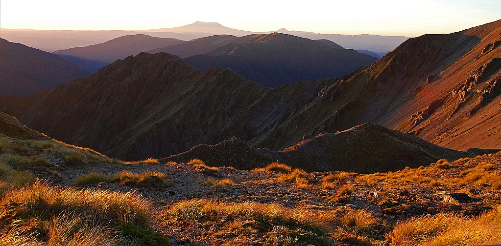 click on the photo to download the original image

Landscape Evening Ruahines Carol Molineux