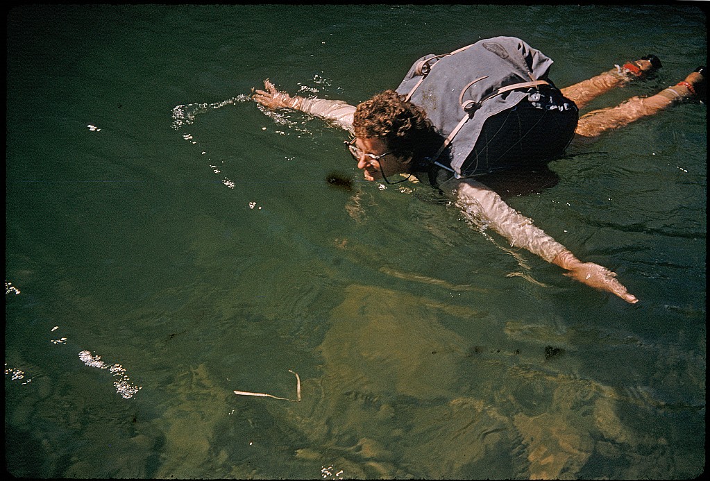 click on the photo to download the original image

ttc102 Pack floating