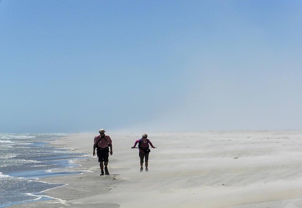 click on the photo to download the original image

BBL-TTC-Alan Graham-Between the sea and the sand Farewell Spit