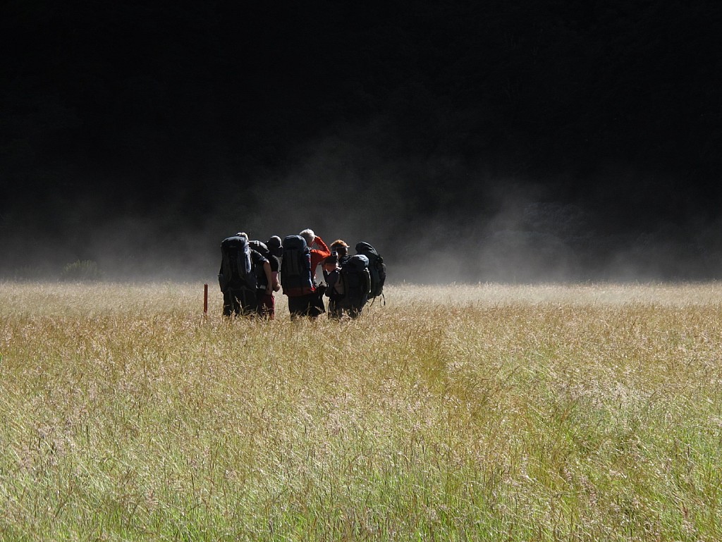 click on the photo to download the original image

BBL-Janette Roberts-Young Forks