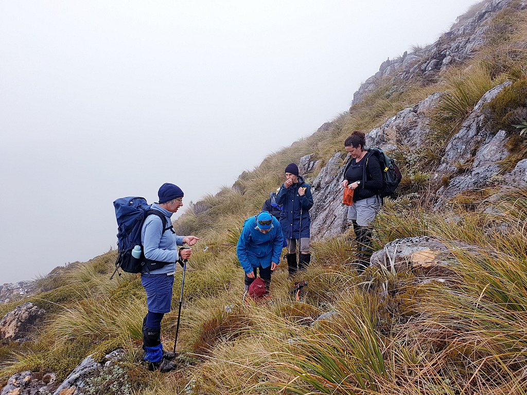 click on the photo to download the original image

2021-03-09 11.08.17 Susi - The Carroll Hut group exploring the flora