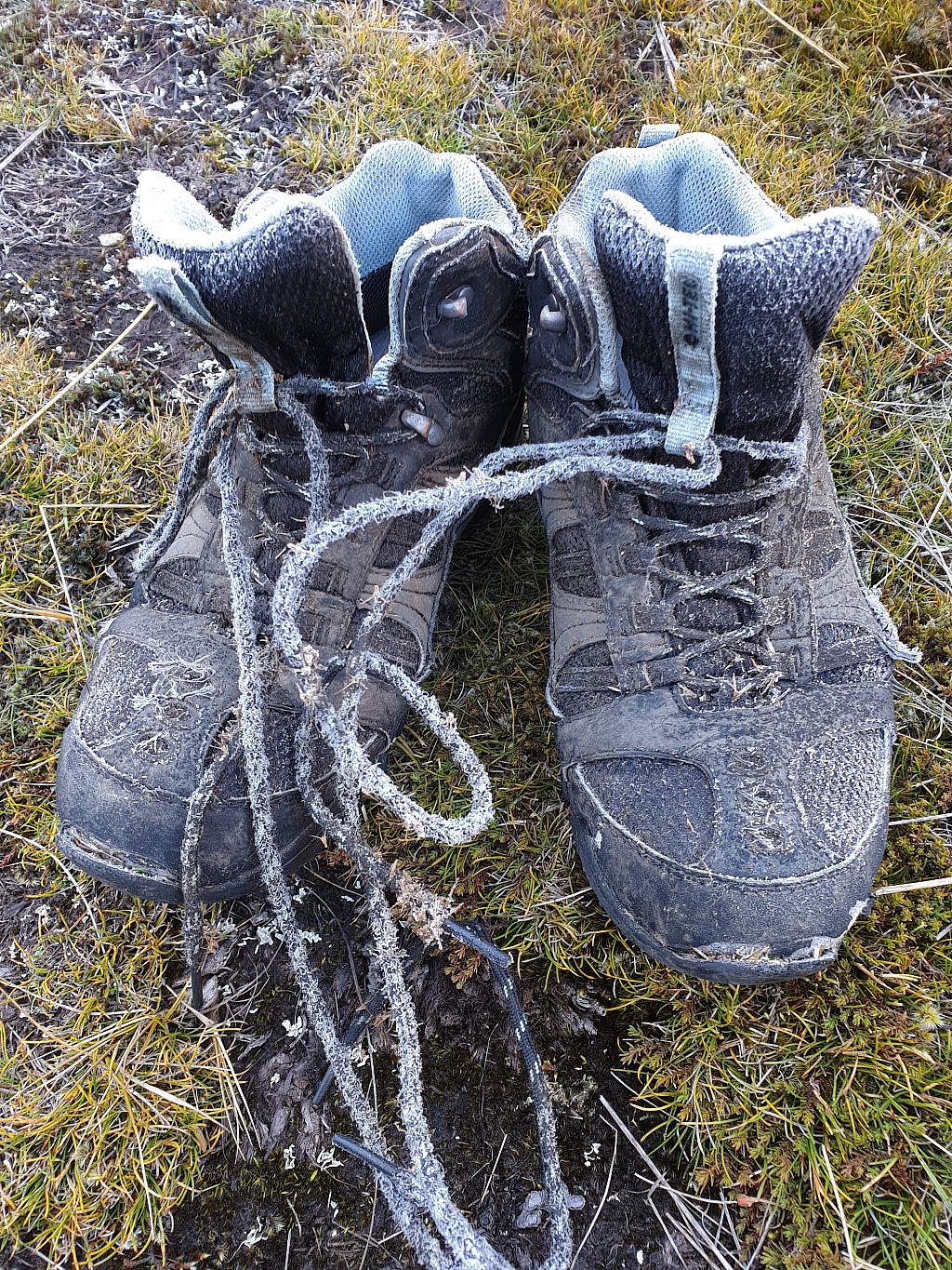 click on the photo to download the original image

2021-03-19 09.43.04 Susi - frozen boots at Walter Pass