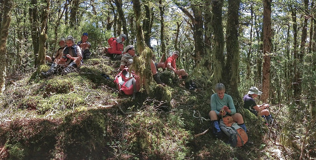 click on the photo to download the original image

DOCTararuaTCPeterBarberLunchStopOnTauwharenīkau