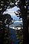 A view through the trees
Photo:&nbsp;Peter Smith
Photo:&nbsp;'2022 Mar 23 07:51'
Original size:&nbsp;2,002 x 3,000; 4,507 kB
Filename:&nbsp;'BBN TararuaTC Peter Smith A view through the trees' 
 2022-Photo Competition Results