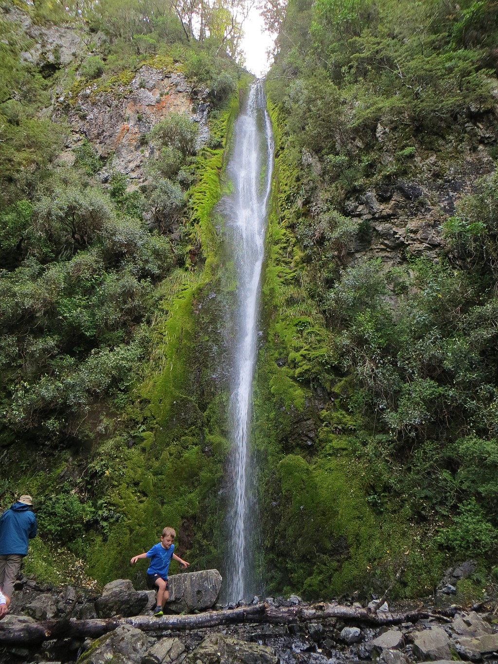 click on the photo to download the original image

2023-03-16 12.36.01 David McNabb - Dog Stream Waterfall