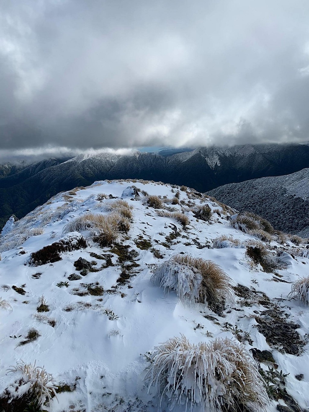 click on the photo to download the original image

Mike Wespel-Rose - k2