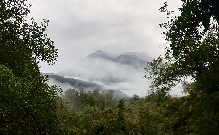 A misty start   Hollyford Valley
Photo:&nbsp;Chris Munn
Photo:&nbsp;'2023 Mar 03 10:16'
Original size:&nbsp;2,564 x 1,581; 1,186 kB
Filename:&nbsp;'BBN Tararua TC 030 A misty start   Hollyford Valley Chris Munn'