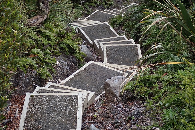 Holly Hut Track
Photo:&nbsp;Alan Knowles
Original size:&nbsp;2,362 x 1,578; 3,352 kB
Filename:&nbsp;'BBW Tararua TC 020 Holly Hut Track Alan Knowles'