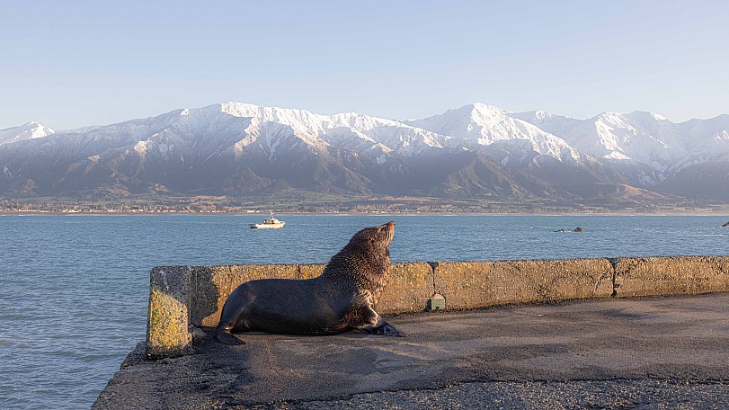 Early Morning Sun
Photo:&nbsp;Jim Gibbons
Photo:&nbsp;'2022 Aug 12 07:51'
Original size:&nbsp;7,898 x 4,443; 1,746 kB
Filename:&nbsp;'NFF Tararua TC 100 early morning sun Jim Gibbons'