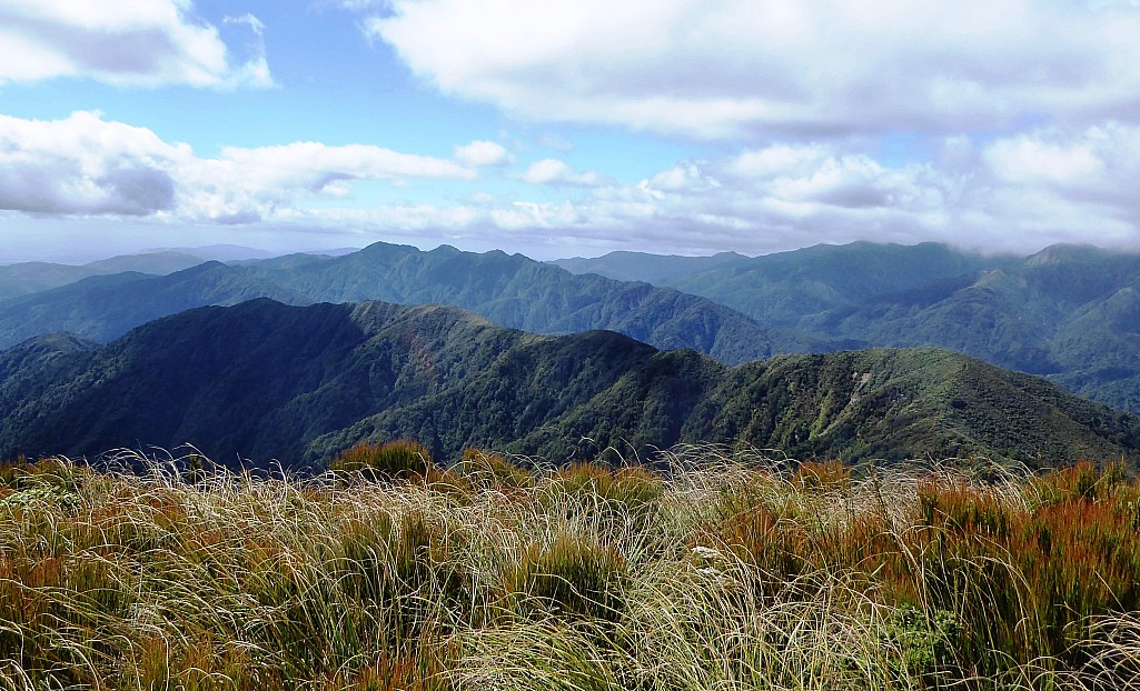 click on the photo to download the original image

ABN Tararua TC 160 N from Waiopehu Ogilvie