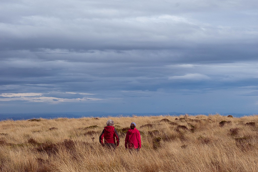click on the photo to download the original image

ABW Tararua TC 100 Redcoats in the tussock Jim Gibbons
