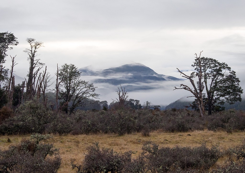 click on the photo to download the original image

BBN Tararua TC 090 MistyHills Jenny Mason