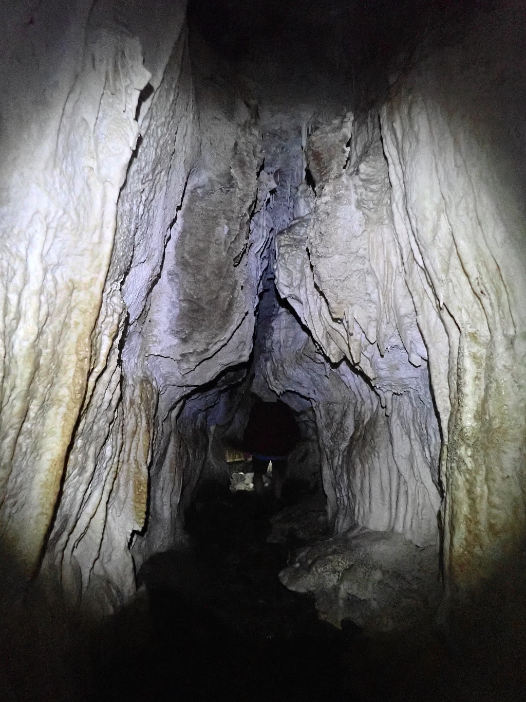 click on the photo to download the original image

2024-05-07 14.24.28 P5070438 Peggy - Kepler