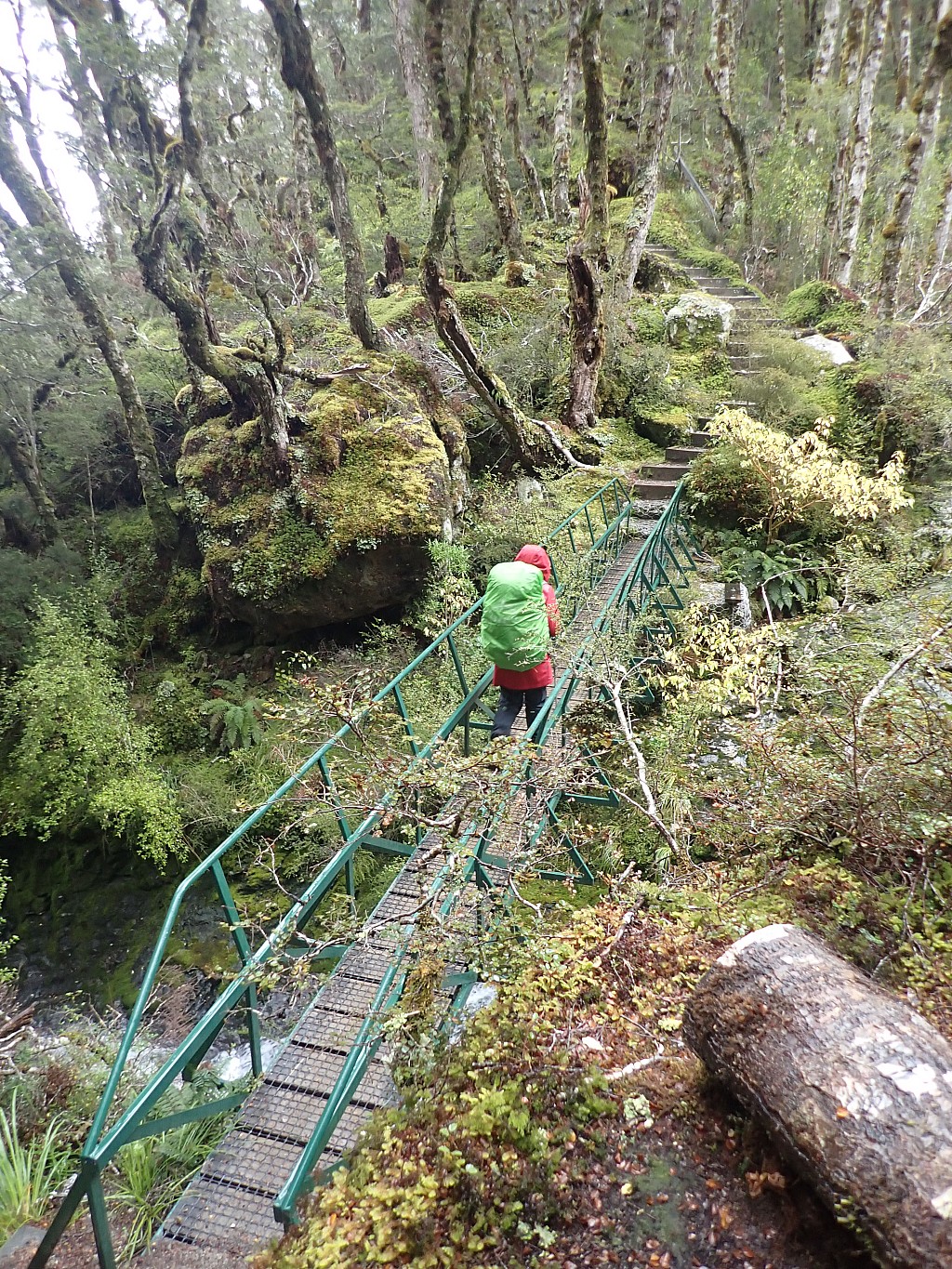 click on the photo to download the original image

2024-05-08 12.33.32 P5080520 Peggy - On the Kepler Track